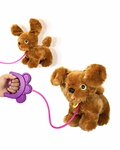 Sevimli Koşu Arkadaşım Golden