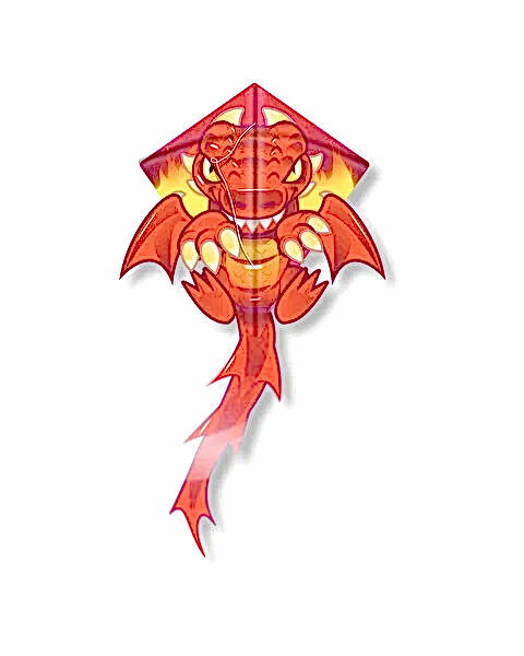 Ejderha Uçurtma 59 Cm