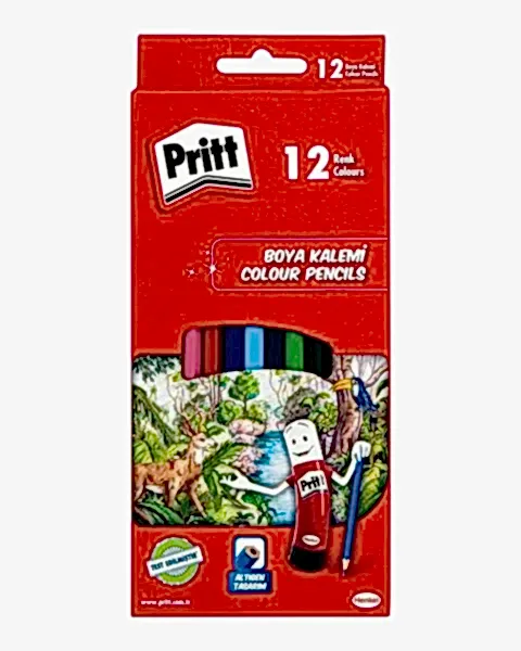 Pritt 12 Renkli Kuru Boya Kalemi Karton Kutu