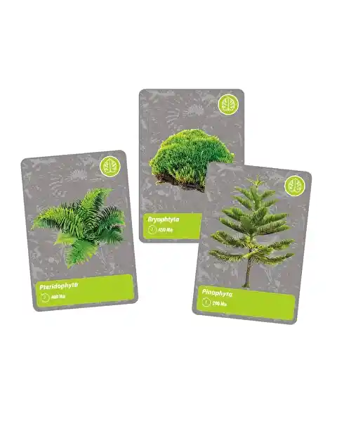 Clementoni Bilim ve Oyun: Dünyada Yaşamın Tarihi