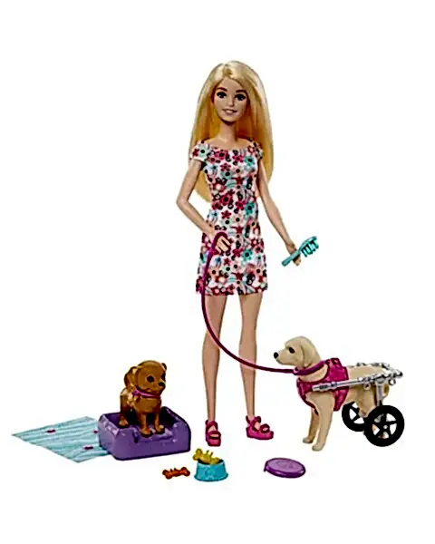 Barbie ve Engelli Köpeği Oyun Seti HTK37