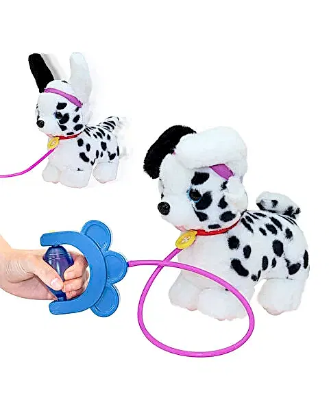 Sevimli Koşu Arkadaşım Dalmayalı Cookie