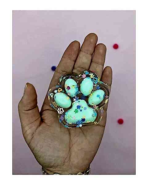 Işıklı Şeffaf Pati Squishy