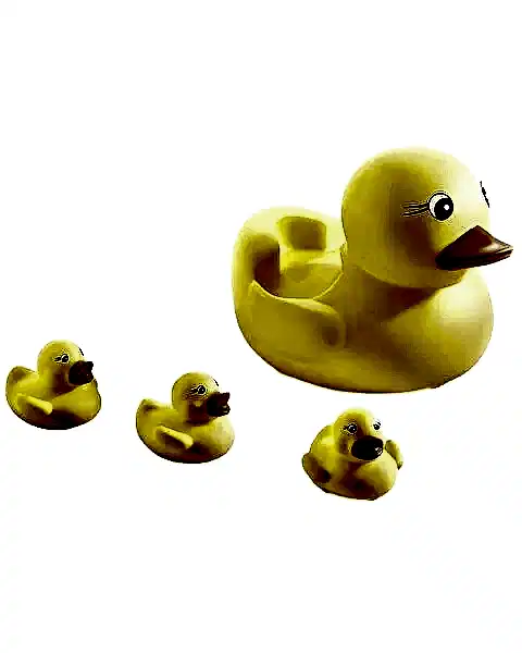 Filede Sevimli Ördek Ailesi