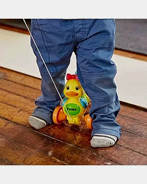 Tomy Toomies Vakvak Ördekler