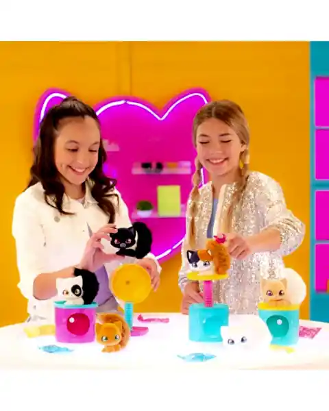 QT Kitties Ash Yavru Kedi