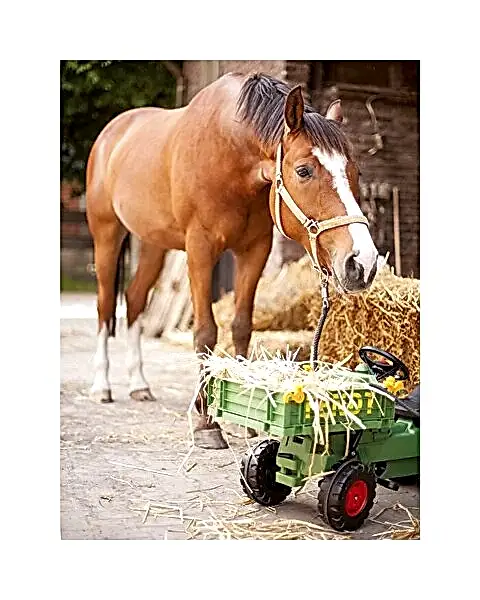 BIG Fendt Ekipman Taşıyıcı Çocuk Traktörü