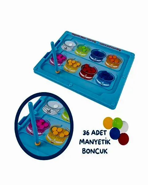 Steam Renkler ve Sayılar Eğitim Tahtası