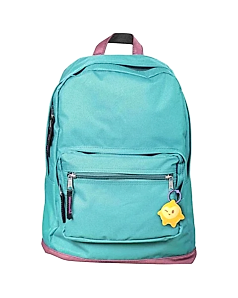 Disney Wish Star Reveals Sürpriz Paket HPX30