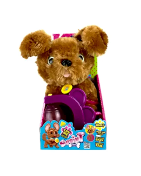 Sevimli Koşu Arkadaşım Golden