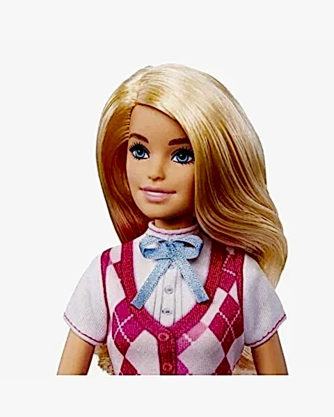 Barbie Binici Malibu Bebek HXJ38