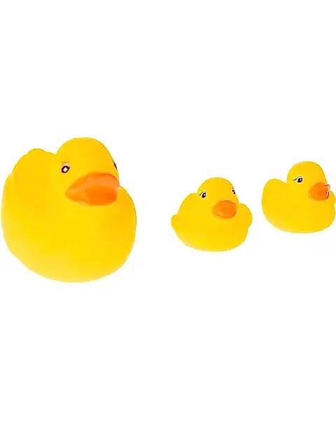 3'lü Ördek Ailesi Seti
