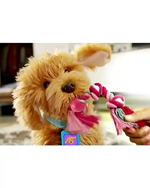 MFF Sevimli Labrador Moji Türkçe 18207