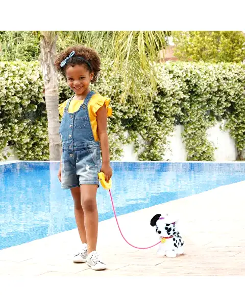 Sevimli Koşu Arkadaşım Dalmayalı Cookie