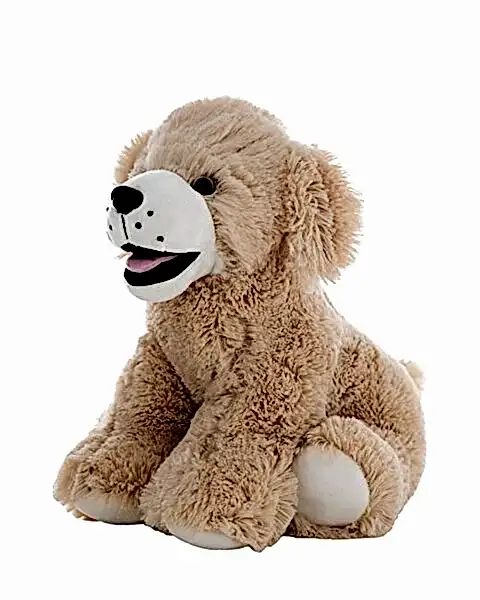 Goldie Labrador Köpek 40 Cm