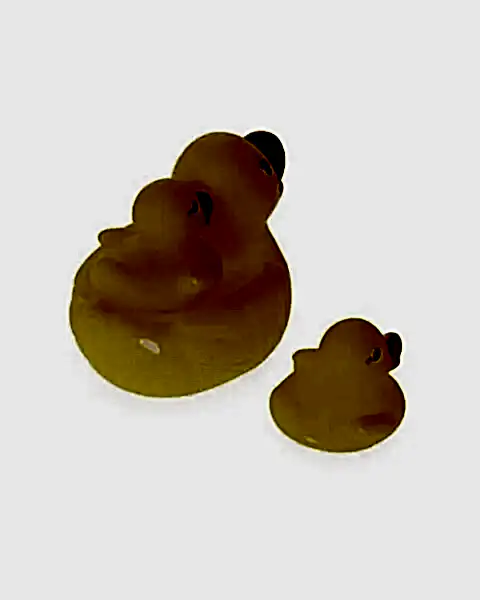 3'lü Ördek Ailesi Seti