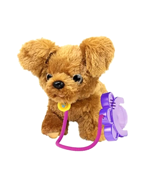 Sevimli Koşu Arkadaşım Golden