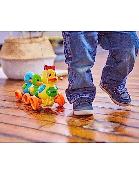 Tomy Toomies Vakvak Ördekler
