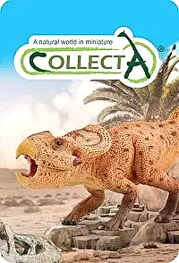 Collecta